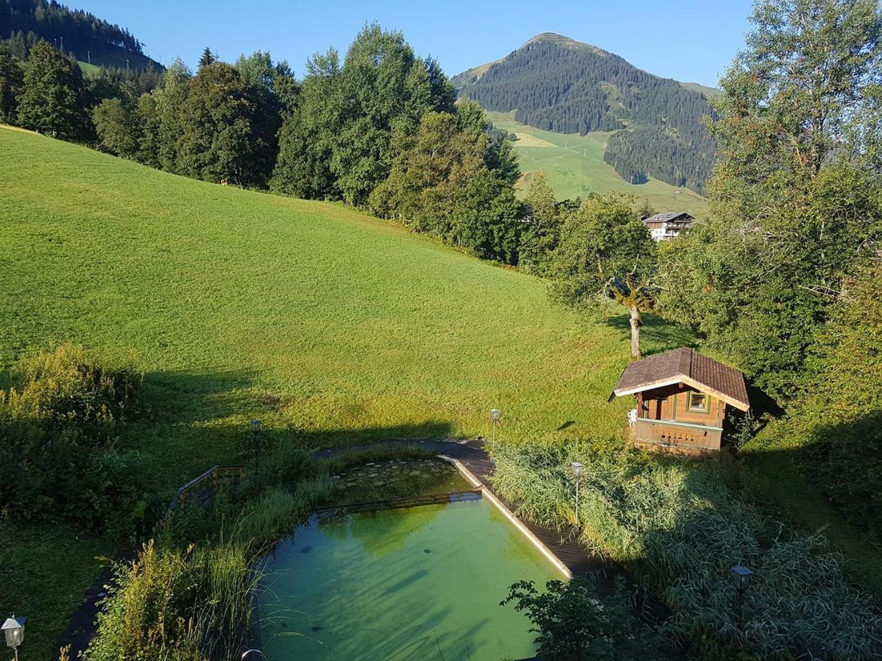 Ski In Ski Out Hotel Unterellmau Saalbach-Hinterglemm Ngoại thất bức ảnh